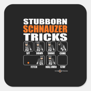 Stubborn Schnauzer Tricks  Funny Schnauzer Gift Square Sticker