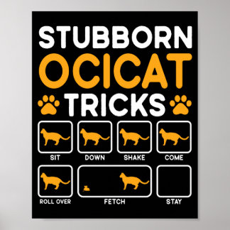 Stubborn tricks cat owner ocicat cat performance  poster