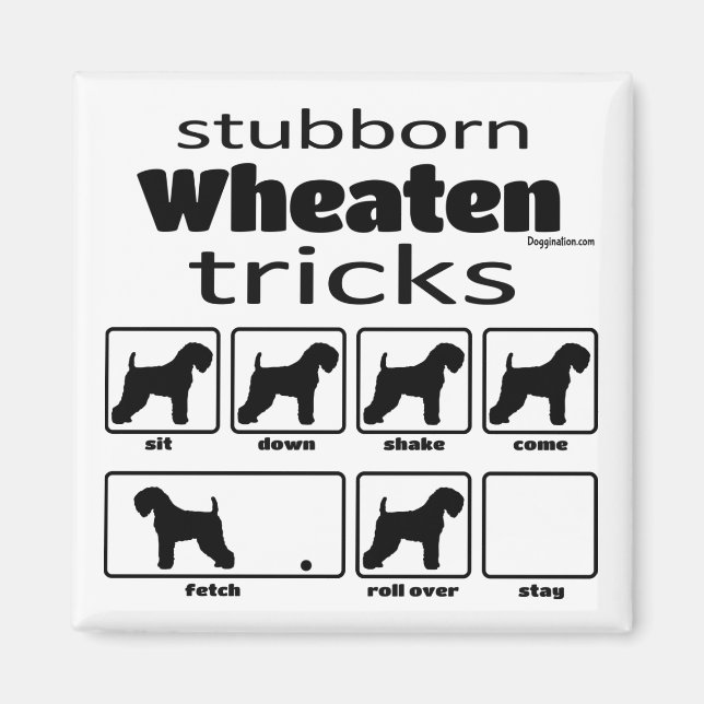 Stubborn Wheaten Tricks Magnet (Front)