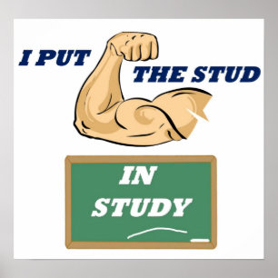 Stud Study Full Poster
