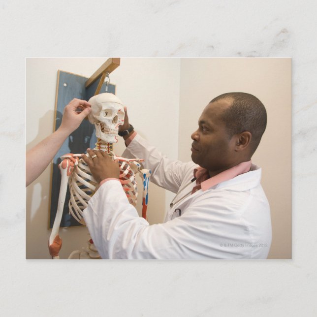 Student doctors studying anatomy on a skeleton postcard (Front)