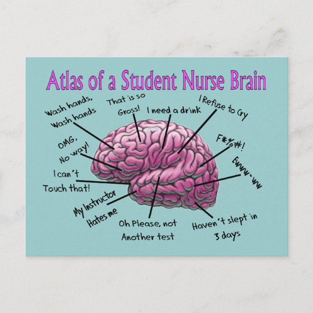 Student Nurse Gifts Postcard (Front)