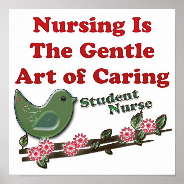 Student Nurse Poster (Front)