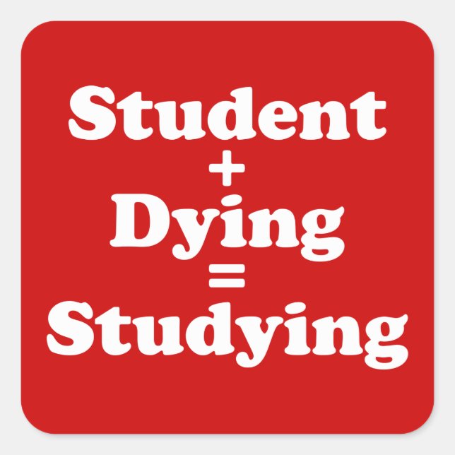 Student Plus Dying Equals Studying Square Sticker (Front)