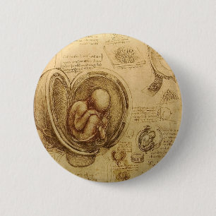 Studies of Embryos 6 Cm Round Badge