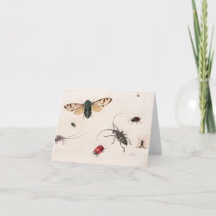 Studies of Insects by Johannes Bronckhorst Thank You Card