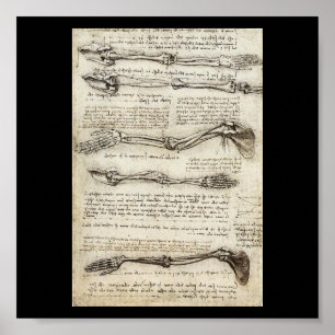 Studies of the Arm by Leonardo Da Vinci c. 1510 Poster