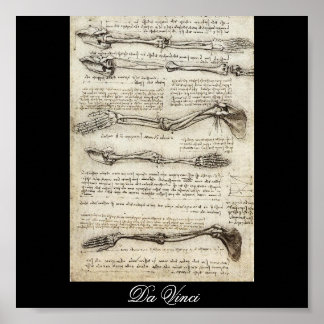 Studies of the Arm by Leonardo Da Vinci c. 1510 Poster