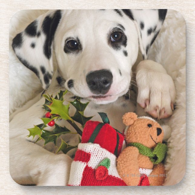 studio coaster (Front)