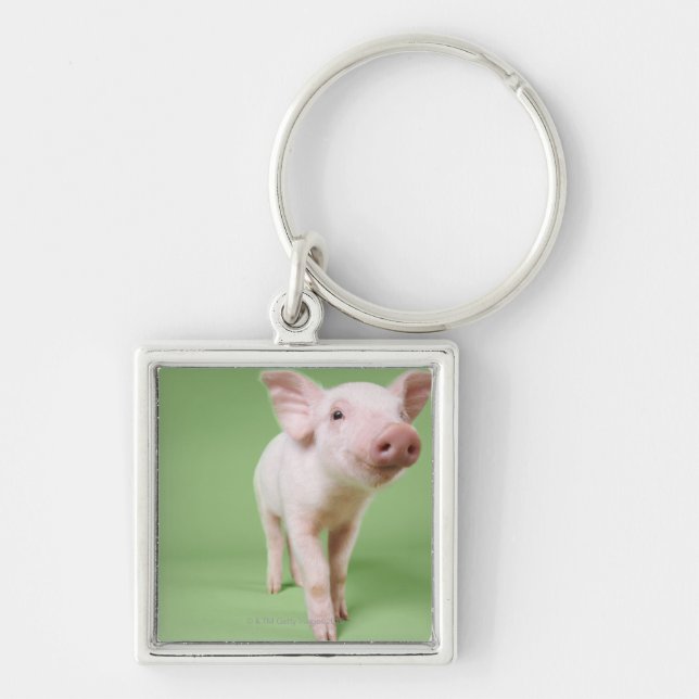 Studio Cut Out of a Piglet Standing Key Ring (Front)