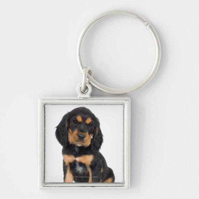 Studio portrait of Rottweiler puppy Key Ring (Front)