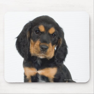 Studio portrait of Rottweiler puppy Mouse Pad