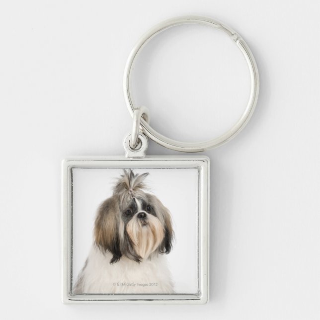 Studio portrait of Shih Tzu Key Ring (Front)