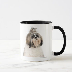 Studio portrait of Shih Tzu Mug