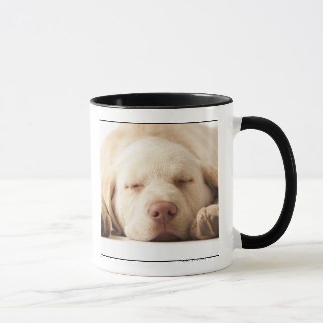 Studio portrait of Yellow Labrador Retriever Mug (Right)