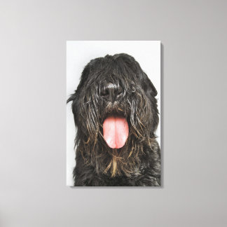 Studio shot canvas print