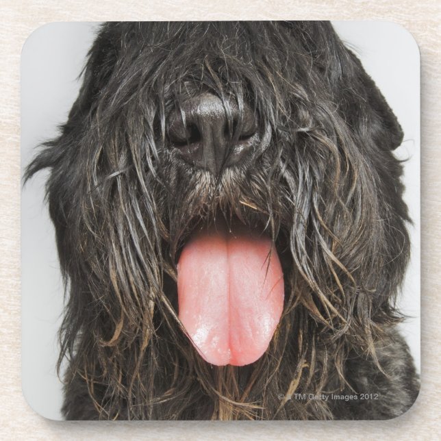 Studio shot coaster (Front)