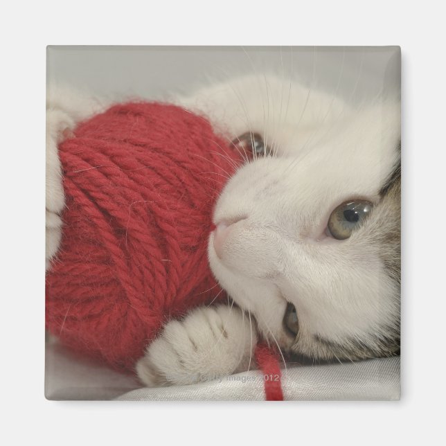Studio shot magnet (Front)