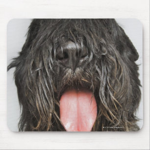 Studio shot mouse pad