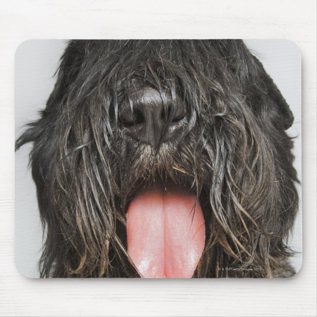 Studio shot mouse pad (Front)