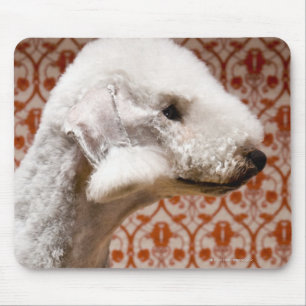 Studio shot of Bedlington Terrier Mouse Pad