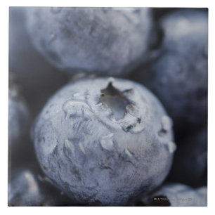 Studio shot of blueberries 2 tile