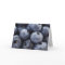 Studio shot of blueberries 3