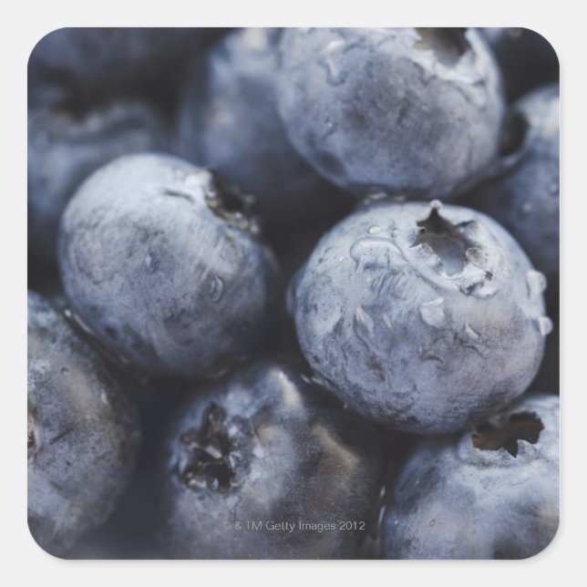 Studio shot of blueberries 3 square sticker (Front)