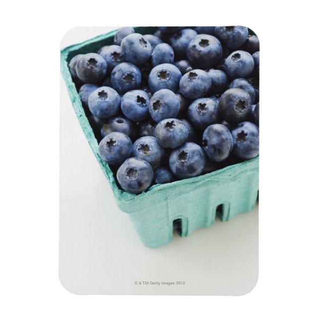 Studio shot of blueberries magnet (Vertical)