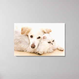 Studio shot of cat and dog canvas print