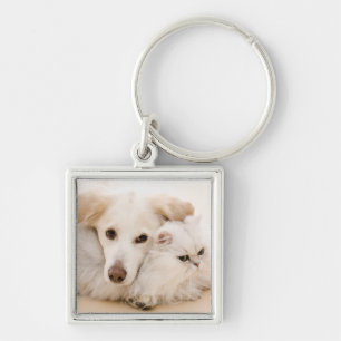 Studio shot of cat and dog key ring
