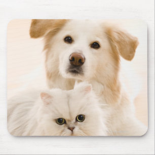 Studio shot of cat and dog mouse pad