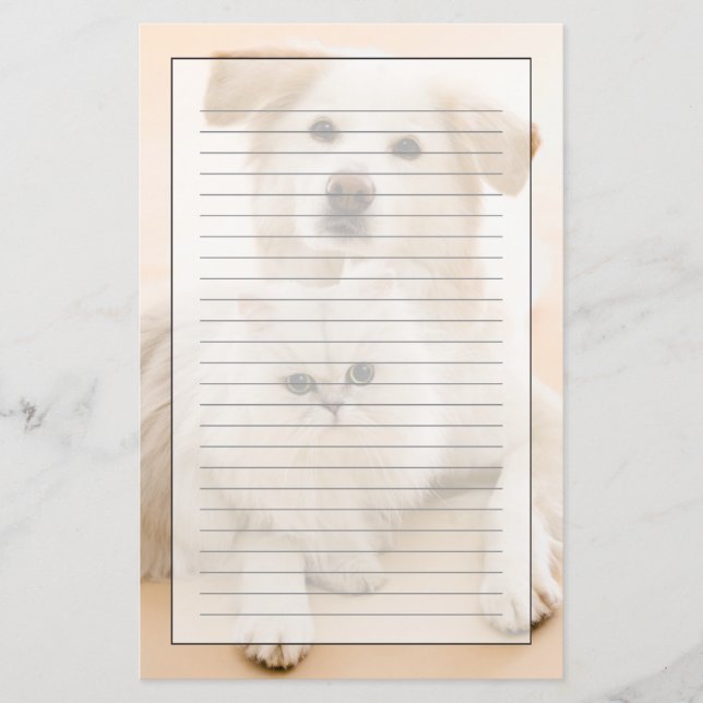 Studio shot of cat and dog stationery (Front)