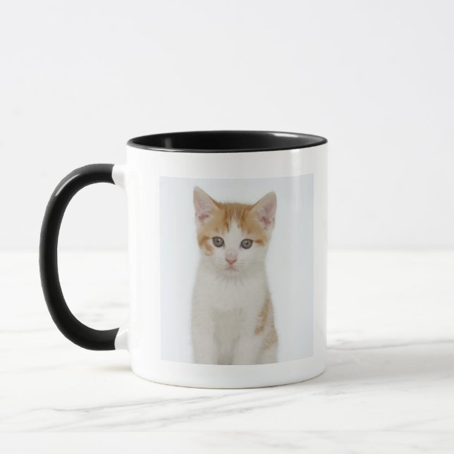 Studio shot of kitten mug (Left)
