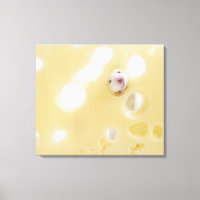 Studio shot of white mouse looking through hole
