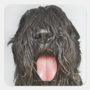 Studio shot square sticker