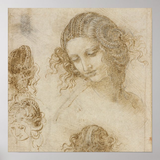 Study for the Head of Leda by Leonardo da Vinci Poster (Front)