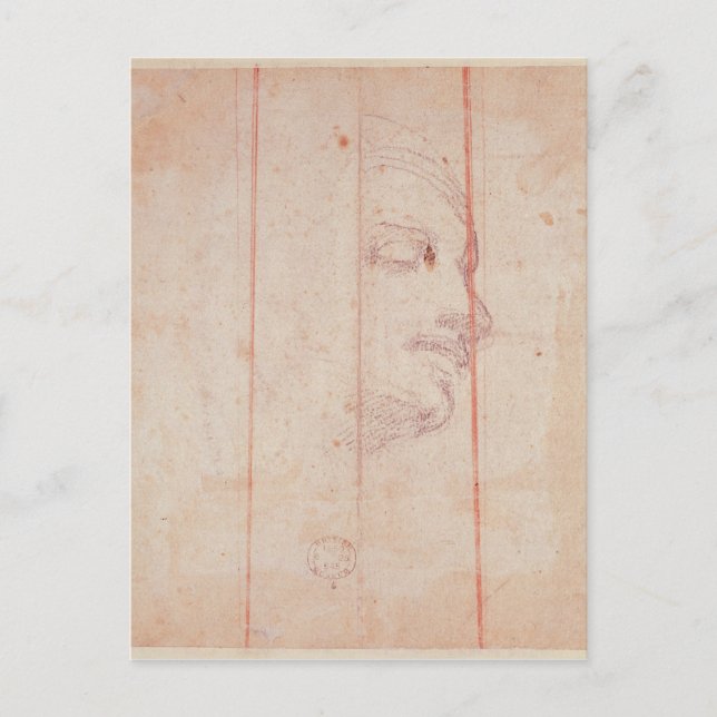 Study for the Head of the Libyan Sibyl Postcard (Front)