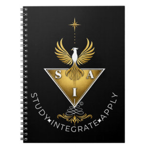 Study Integrate Apply Alt version Notebook