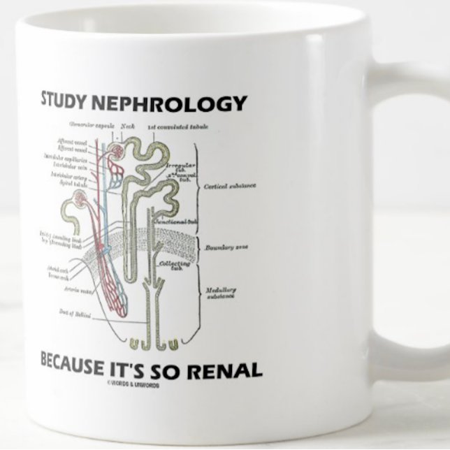 Study Nephrology Because It's So Renal Nephron Coffee Mug (Nephrologists will enjoy this medical truism advice mug featuring a kidney's nephron)