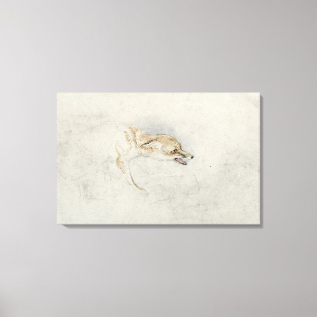 Study of a crouching Fox, facing right verso: fain Canvas Print (Front)