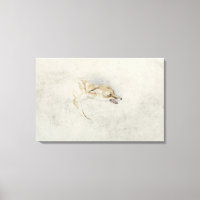 Study of a crouching Fox, facing right verso: fain