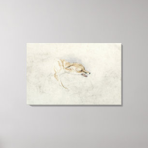 Study of a crouching Fox, facing right verso: fain Canvas Print