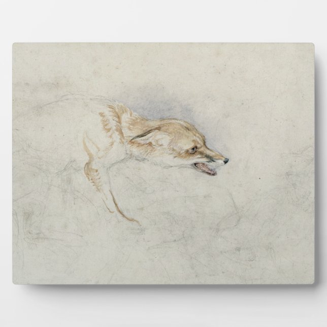 Study of a crouching Fox, facing right verso: fain Plaque (Front)