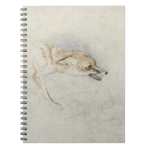 Study of a crouching Fox, facing right verso: fain Spiral Notebook