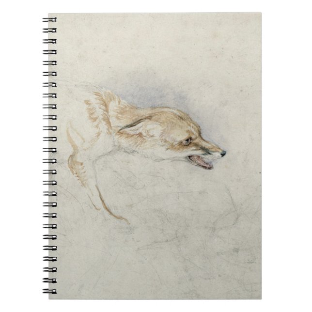 Study of a crouching Fox, facing right verso: fain Spiral Notebook (Front)