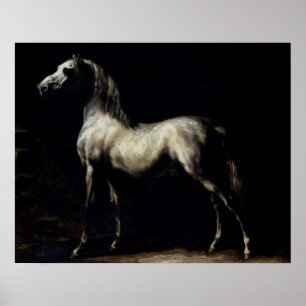 Study of a Dapple Gray Poster