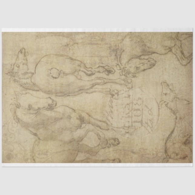 Study of a Horse Decoupage Paper (Front)