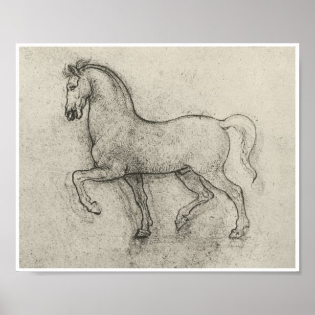 Study of a Horse, Leonardo Da Vinci Poster (Front)