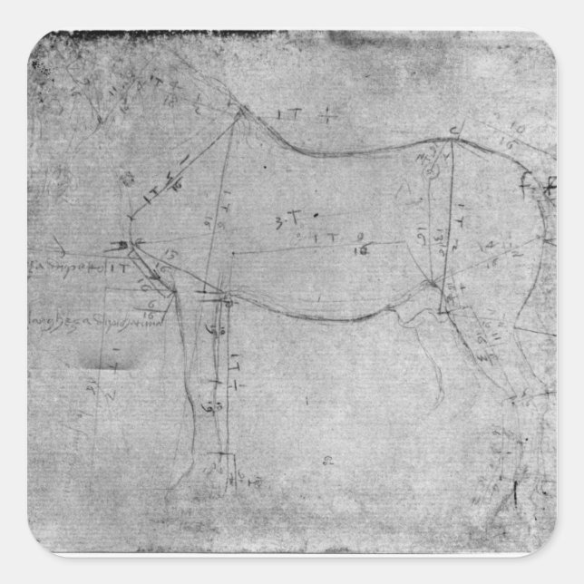Study of a Horse Square Sticker (Front)